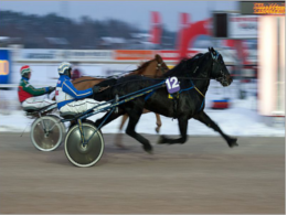 Harness Racing